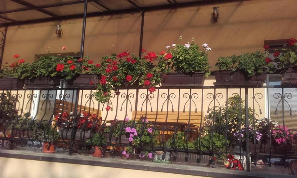 Relax Apartment Bajina Basta Zewnętrze zdjęcie