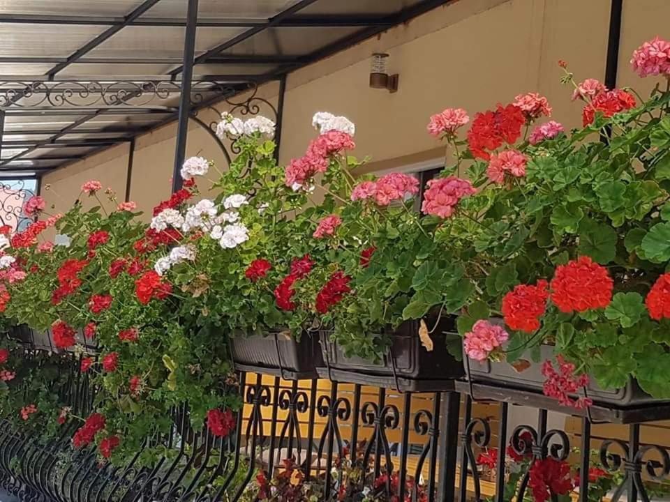 Relax Apartment Bajina Basta Zewnętrze zdjęcie
